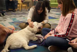 Two people sitting on the ground near a therapy dog. Pause for Paws Dec 17. Photo by Savannah Waggoner