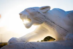 Mountain Lion statue with the sun shining