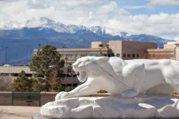 mountain lion statue with the mountains